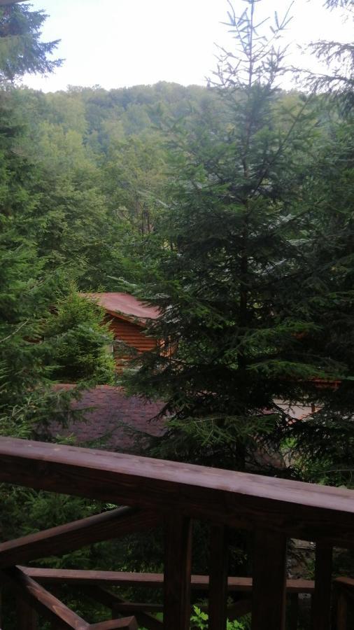 Hotel Yavir Jaremče Esterno foto